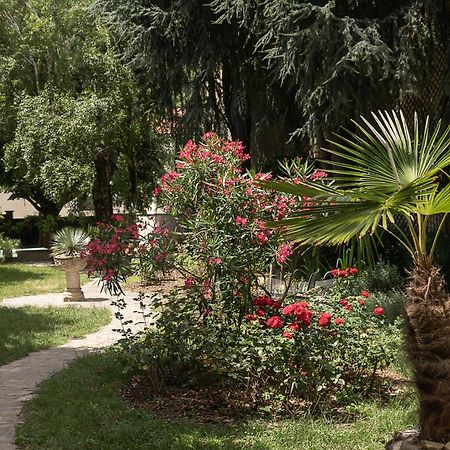 מזמה Residence Midi מראה חיצוני תמונה